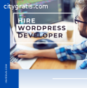 Hire the Best WordPress Developer