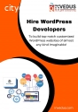 Hire Wordpress Developers