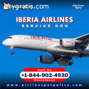how book flight service dog on iberia?