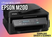 How to Fix Epson Printer Error Code 0x91