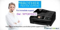 How To Fix Instantly Printer Bugs?
