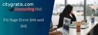 How to Fix Sage Error 500 & 503