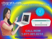 Hp printer Customer Support Number 1-877