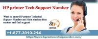 HP printer Tech Support Number