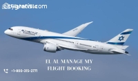 I Manage My Flight Booking on EL AL