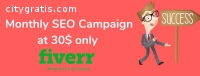 I Will Do Monthly SEO Service Of Your We