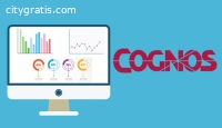 IBM Cognos Reporting Tool Training