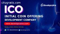 ICO Development Company | ICO Script