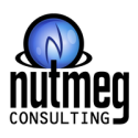 Nutmeg Consulting LLC
