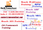 Instructor Led Live Online Oracle ODI Tr