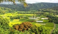 Insurance Quotes in Kauai, Hawaii
