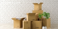 International Movers and Packers Dubai