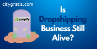 Is Dropshipping Worth It