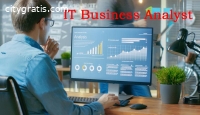 IT Business Analyst Online Training