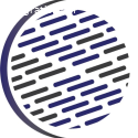 IT Service Provider