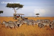 Kenya Safaris Tour at Unbelievable Price