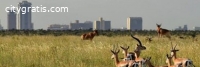 @Kenya Safaris Tours