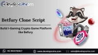 Launch your own Betfury clone script