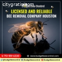 Licensed and Reliable Bee Removal Compan