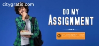 Looking for Essay Writing   in USA
