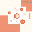 Magento Development Services