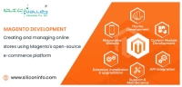 Magento Web Development India