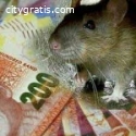 MAGIC RATS THAT BRINGS CASH +27785392928