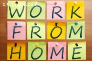 Make a Real Income At Home (5231)