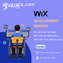 Make Website With Wix Expert Developers