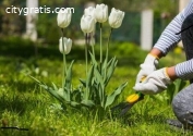 Marketing services