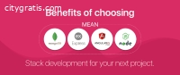 MEAN Stack Development Services