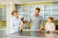 Meet-and-Greet with Pet Groomers: Why