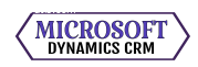 Microsoft Dynamics CRM Services Provider