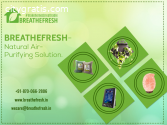 Natural Air Purifiers Solution |Breath F