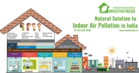 Natural Solution to Indoor Air Pollution