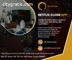 Netflix Clone App Development company |
