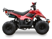 New Youth 110cc ATV Icebear Pah-110R2