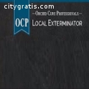 OCP Bee Removal Las Vegas NV - Bee exter
