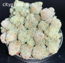 Online dispensary delivery