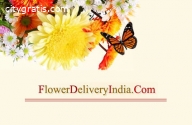 Online shopping