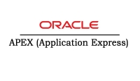 Oracle APEX Online Training In India
