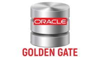 Oracle Golden Gate Online Training