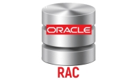 Oracle RAC 19c Online Training In India