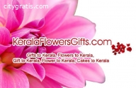 Order Online and Send Gifts to Palakkad
