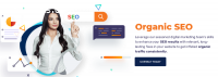 Organic SEO Consultant and Affordable SE