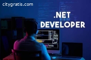Outsource Asp Dot Net Developers
