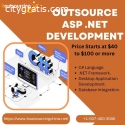 Outsource Dot Net Development