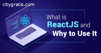 Outsource ReactJs Development