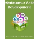 Outsource Web Development Company