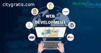 Outsource Web Development India